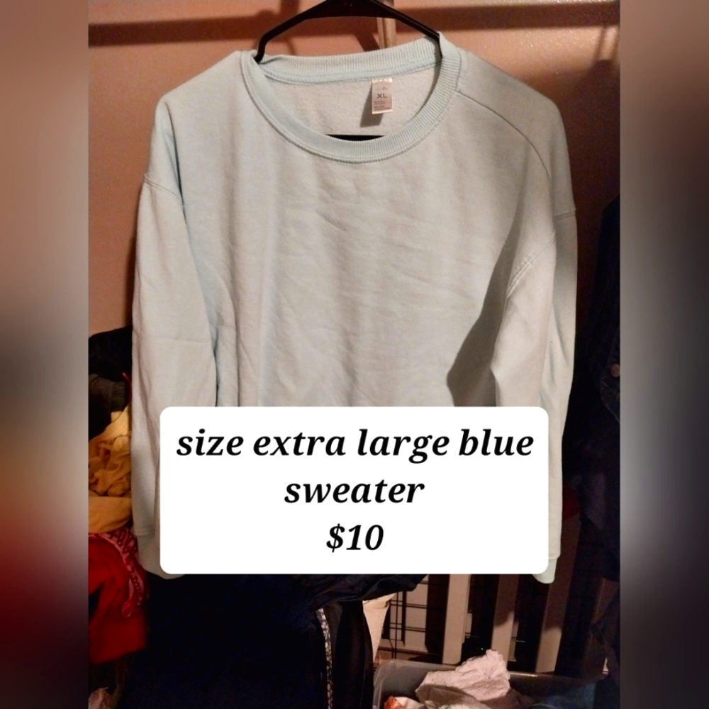 XL blue sweater (Family Dollar)